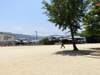 CIMG9520