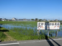 CIMG0375